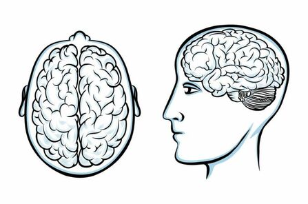 Erfolgreiche Studienplatzklage Psychologie durch Teipel &amp; Partner im Wintersemester 2018/2019.
